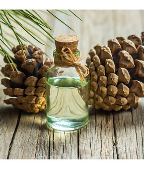 Untitled design (17).jpg