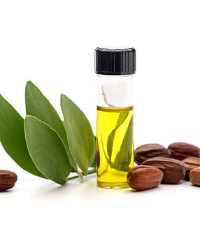 Untitled design (2).jpg